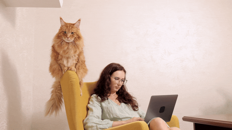 are maine coons hypoallergenic? almontecats.com